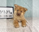 Image preview for Ad Listing. Nickname: Miles