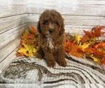 Image preview for Ad Listing. Nickname: Bo