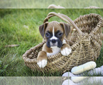 Image preview for Ad Listing. Nickname: Sally