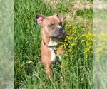 Small #3 Breeder Profile image
