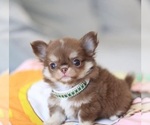 Image preview for Ad Listing. Nickname: Ella