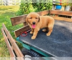 Image preview for Ad Listing. Nickname: Girl 2