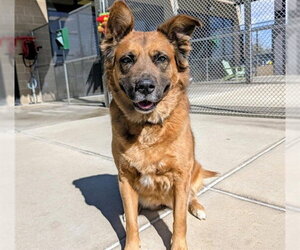 Main medium Rescue Organization Photo