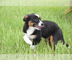 Image preview for Ad Listing. Nickname: Cherry
