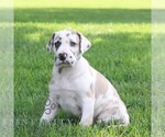 Image preview for Ad Listing. Nickname: Lady
