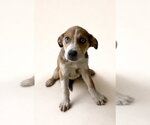 Small #2 Labbe