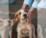 Small #2 Breeder Profile image
