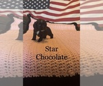 Image preview for Ad Listing. Nickname: Star