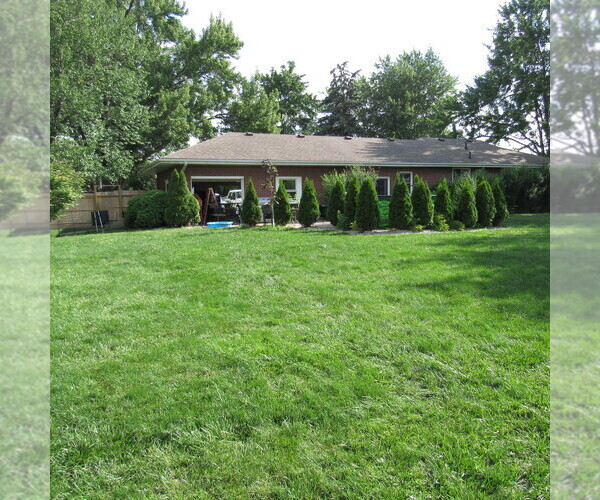 Medium Photo #37 English Cream Golden Retriever Puppy For Sale in NORTHWOOD, OH, USA