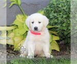 Image preview for Ad Listing. Nickname: Lindsey