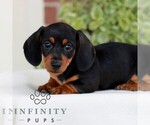 Image preview for Ad Listing. Nickname: Brickle