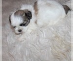 Image preview for Ad Listing. Nickname: LilGirl Trinket