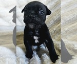 Image preview for Ad Listing. Nickname: Jack