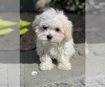 Image preview for Ad Listing. Nickname: Felicity