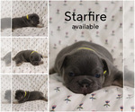 Image preview for Ad Listing. Nickname: Starfire