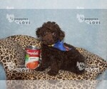 Image preview for Ad Listing. Nickname: BROWNIE