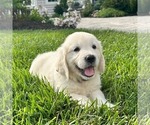 Image preview for Ad Listing. Nickname: Olivia