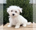 Image preview for Ad Listing. Nickname: Eddie