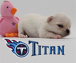 Image preview for Ad Listing. Nickname: Titan