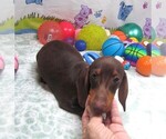 Image preview for Ad Listing. Nickname: Dixon