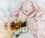 Small #2 Poodle (Toy)