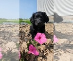 Image preview for Ad Listing. Nickname: Donna