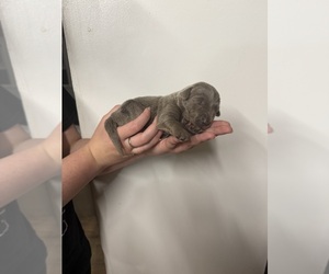 Main image of advertise