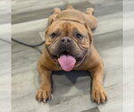 Small #3 Breeder Profile image