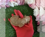 - Photo #4