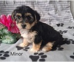 Small #1 Yo-Chon