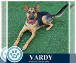 Small #2 German Shepherd Dog