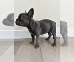 Image preview for Ad Listing. Nickname: Blue Female