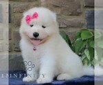 Image preview for Ad Listing. Nickname: Princess