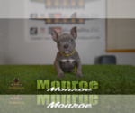 Image preview for Ad Listing. Nickname: Monroe ABKC