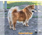 Image preview for Ad Listing. Nickname: Keira