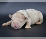 Image preview for Ad Listing. Nickname: Atum