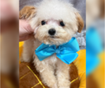 Image preview for Ad Listing. Nickname: Vasya
