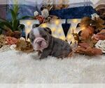 Image preview for Ad Listing. Nickname: Lola