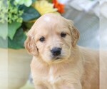 Image preview for Ad Listing. Nickname: Kathy