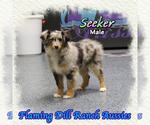 Image preview for Ad Listing. Nickname: Seeker