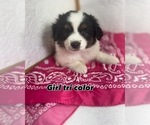 Image preview for Ad Listing. Nickname: Lt Pink