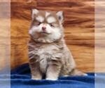 Image preview for Ad Listing. Nickname: Prince