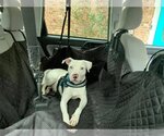 Small #2 Breeder Profile image