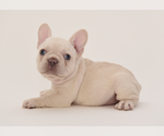 Image preview for Ad Listing. Nickname: S more