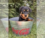 Image preview for Ad Listing. Nickname: Gage