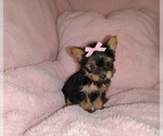 Image preview for Ad Listing. Nickname: kia
