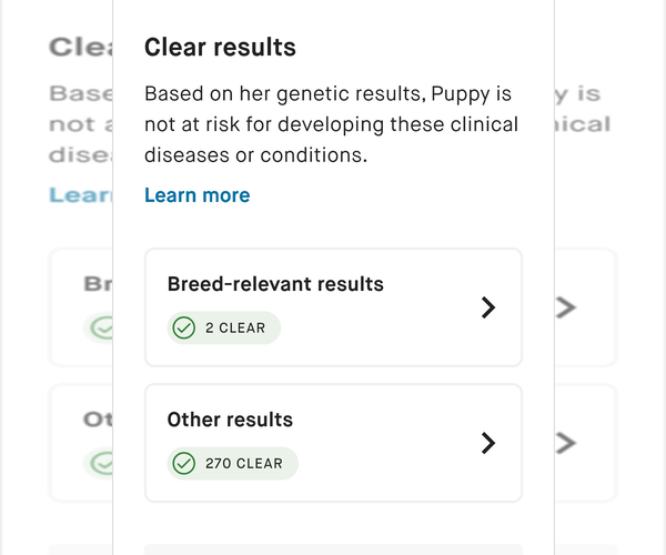 Medium Photo #3 Shih Tzu Puppy For Sale in FANNING SPGS, FL, USA
