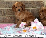 Image preview for Ad Listing. Nickname: Patty
