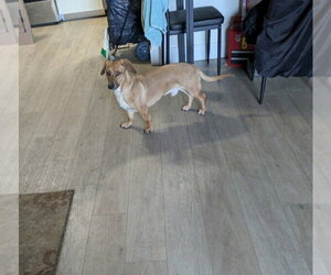 SLINKY 
