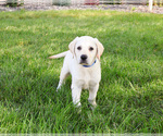 Image preview for Ad Listing. Nickname: Brian